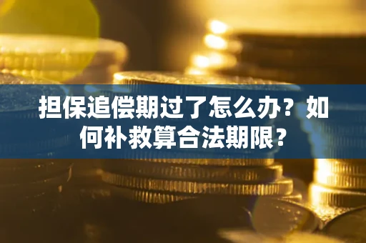 济南担保追偿期过了怎么办？如何补救算合法期限？