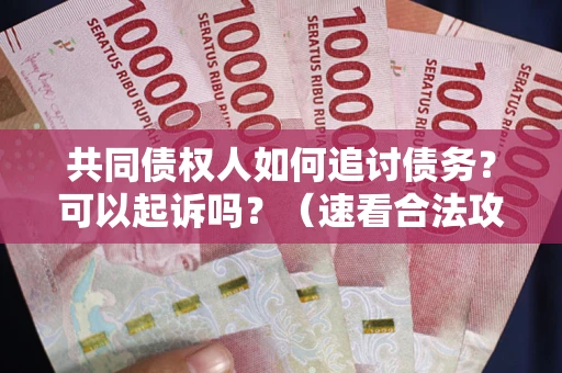 济南共同债权人如何追讨债务？可以起诉吗？（速看合法攻略）
