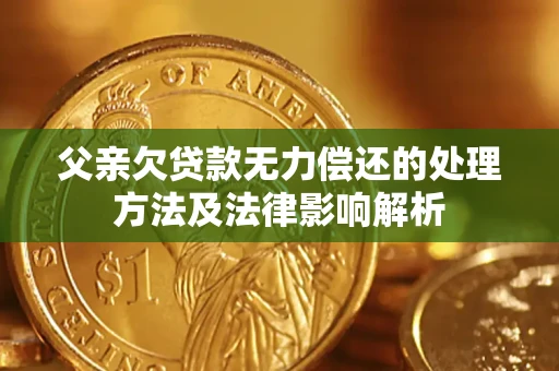 济南父亲欠贷款无力偿还的处理方法及法律影响解析