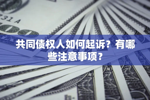 济南共同债权人如何起诉？有哪些注意事项？