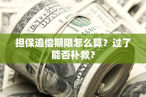 济南担保追偿期限怎么算？过了能否补救？